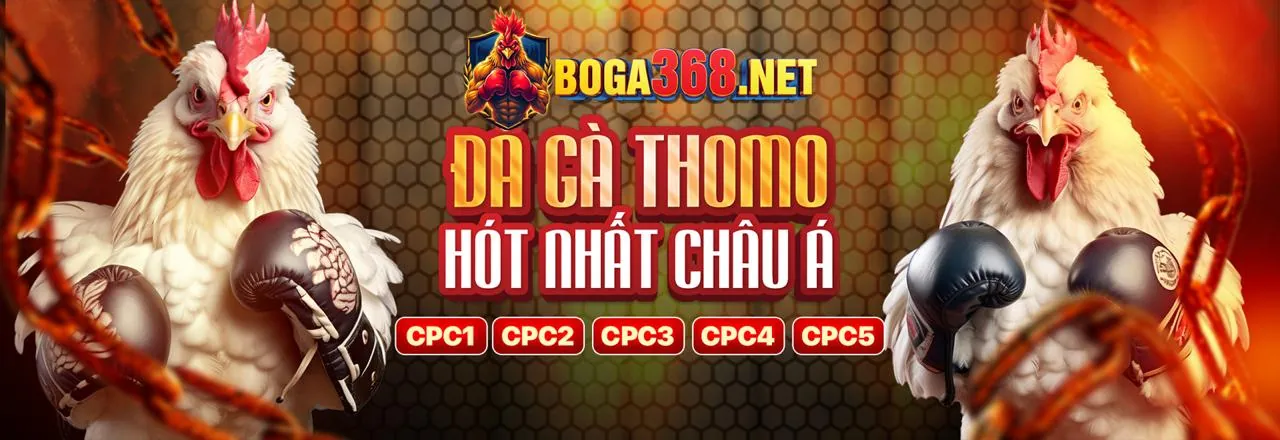 Đá gà GA65 trực tuyến - Tải ứng dụng GA65 ngay 2026