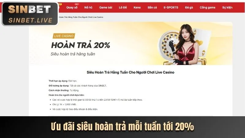 Hoàn trả casino GA65